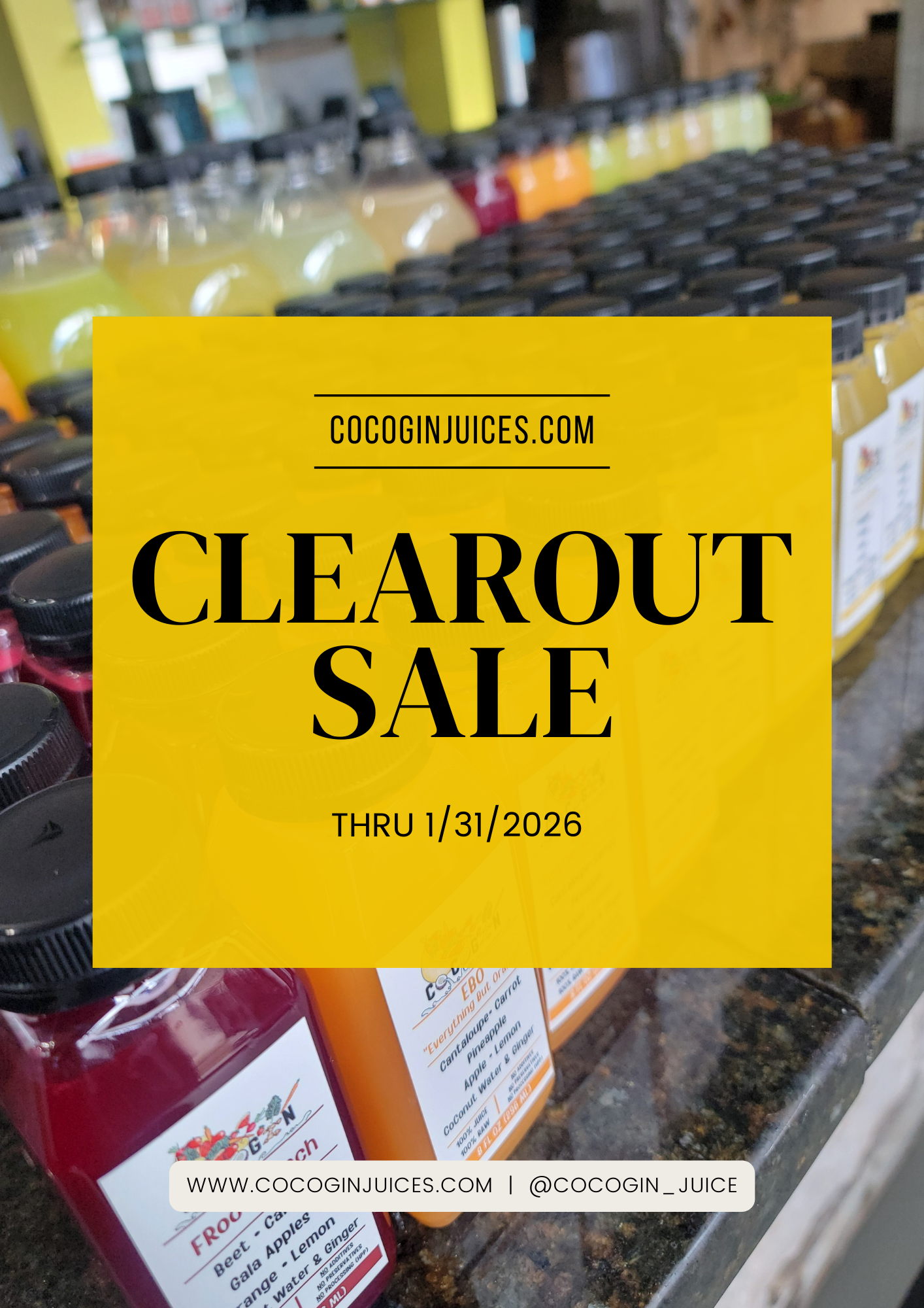 CoCoGin Clear-Out Shipping Special